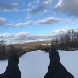 Meet your Posher, Rolly